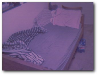The bed.